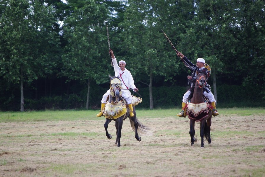 Le Moussem des Cultures 2008 196.jpg